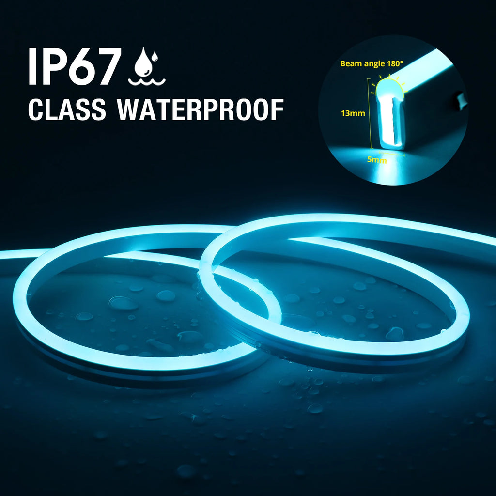 Smart RGB Neon LED Strip